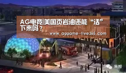 AG电竞|美国页岩油还能“活”下来吗?(图1) AG体育